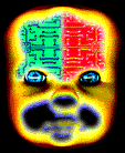 anatomy2.gif