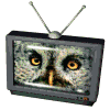 tv_bird1.gif